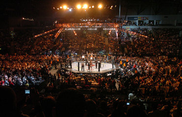 Петте най-големи събития в историята на UFC  — според Google