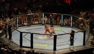 Четири UFC нокаути в рамките на 30 секунди или по-малко