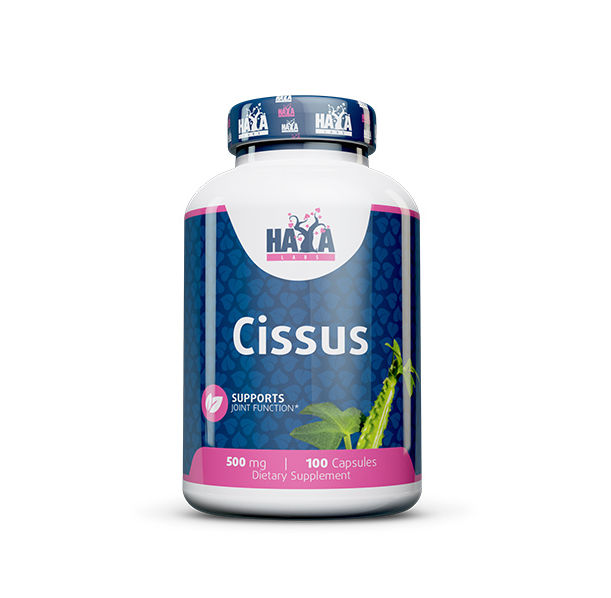 Haya Labs - Cissus 500mg. / 100 Caps